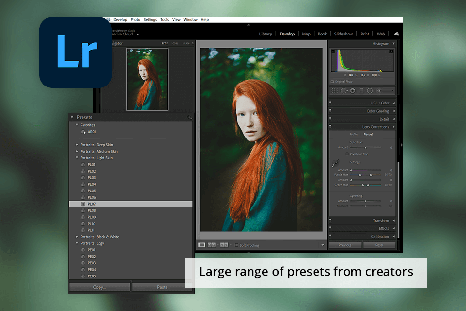 lightroom presets