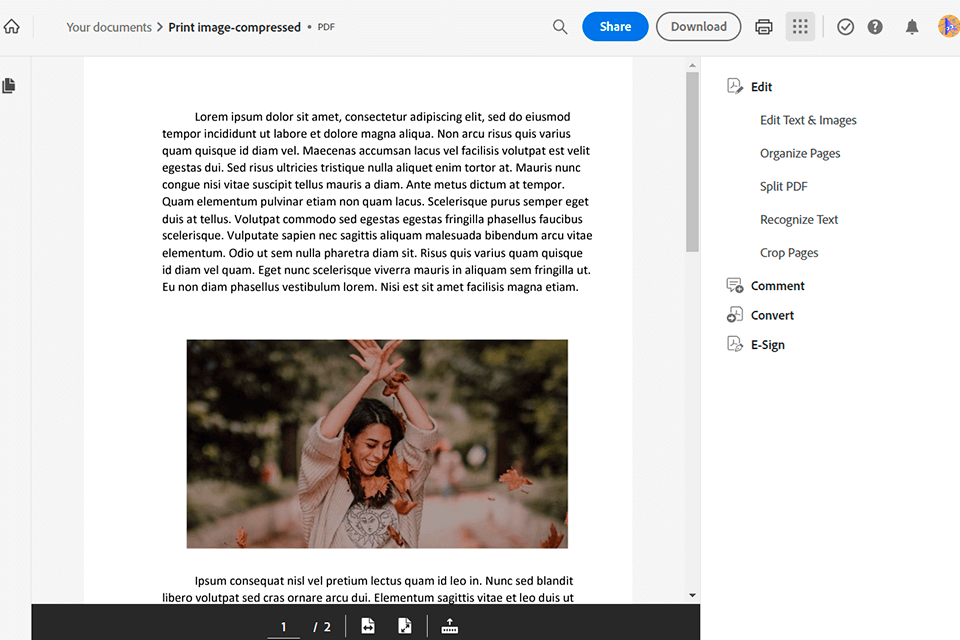 wait for compression to finish in adobe acrobat online