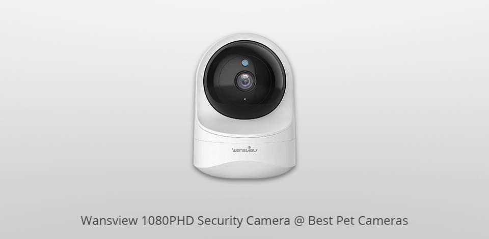wansview 1080phd pet camera
