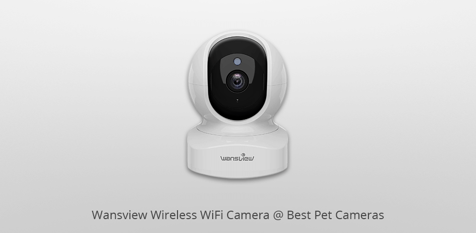 wansview wifi  pet camera
