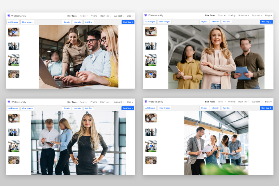 watermarkly best blur face in video app