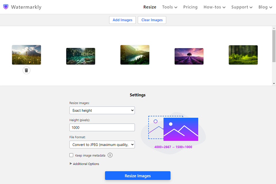 8 Free Photo Resizing Software to Use in 2024