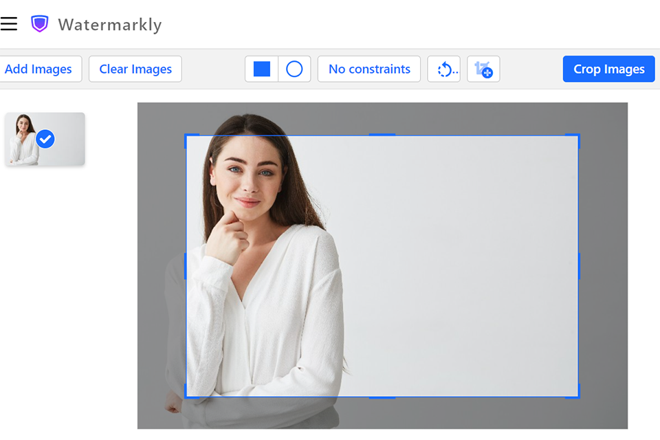 watermarkly crop photo services image