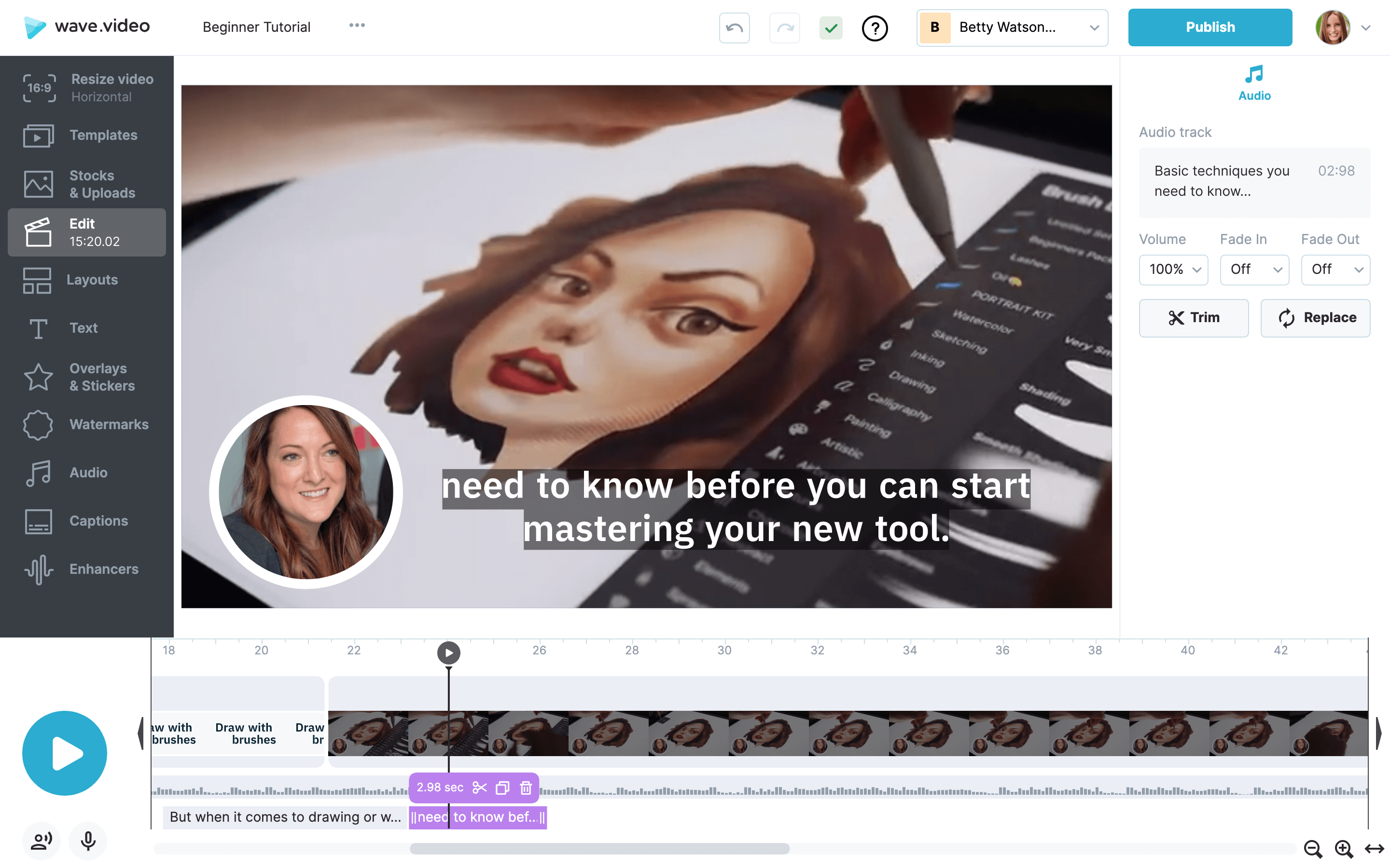 wave video explainer video software interface