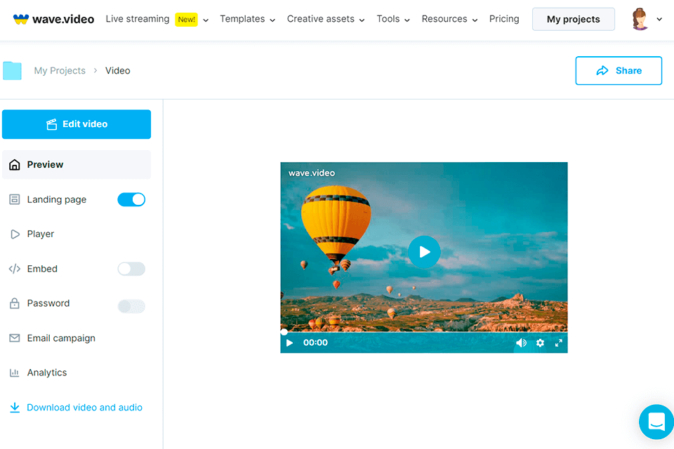 wave video interface