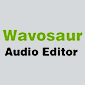 wavosaur logo