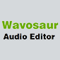 wavosaur vocal isolation software logo
