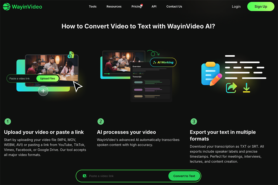 wayin ai video to text converter