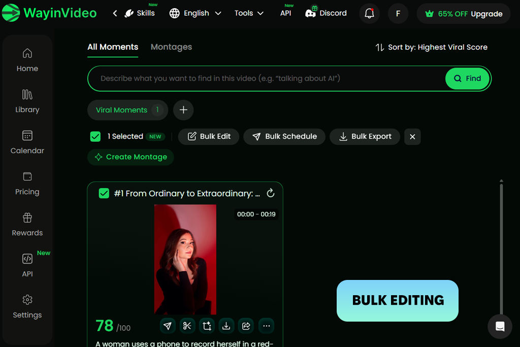 wayinvideo interface