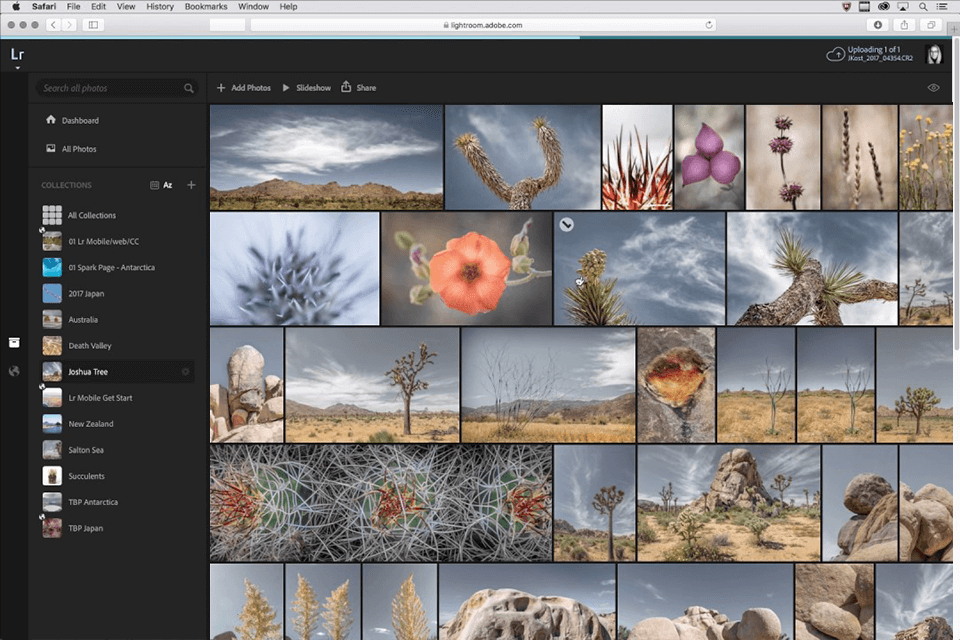 web version of lightroom