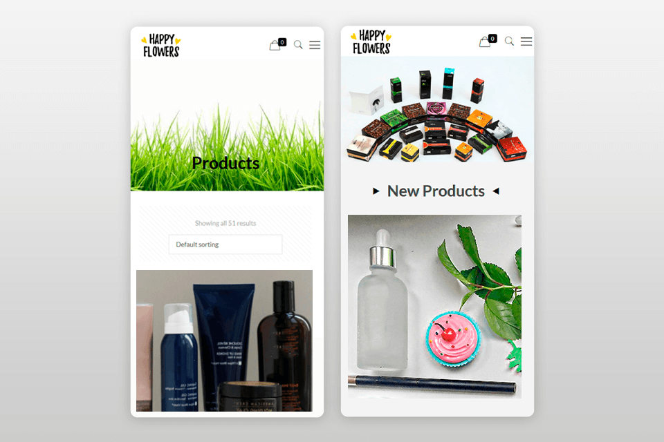 websmaniac app development company interface