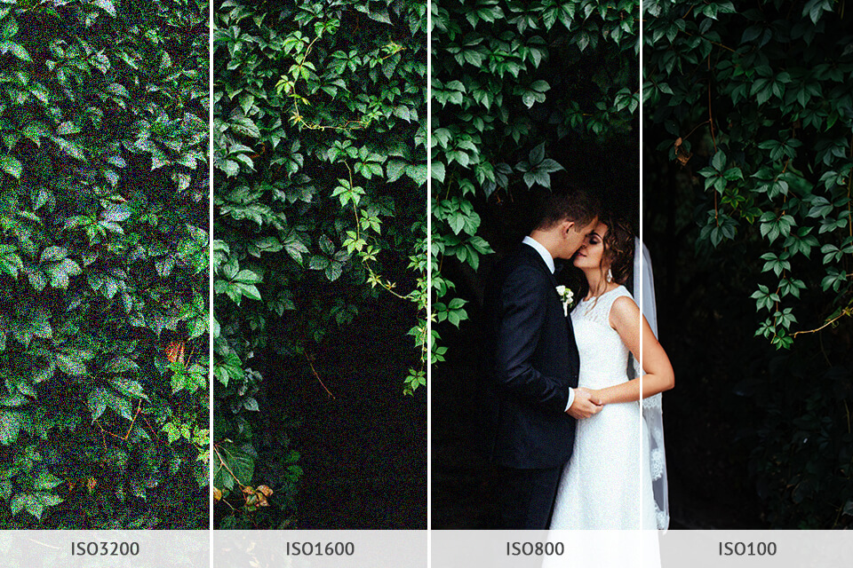 Best Wedding Photo Editing App: 8 Wedding Photography Tips