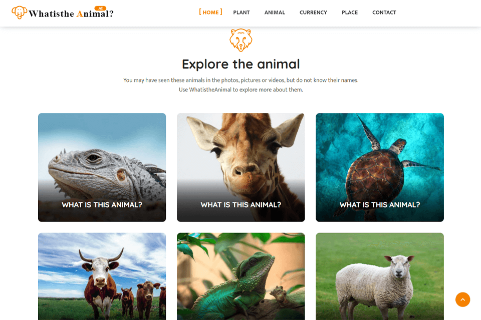 WhatistheAnimal AI Animal Identifier Online Review