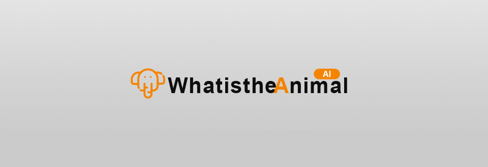 whatistheanimal logo