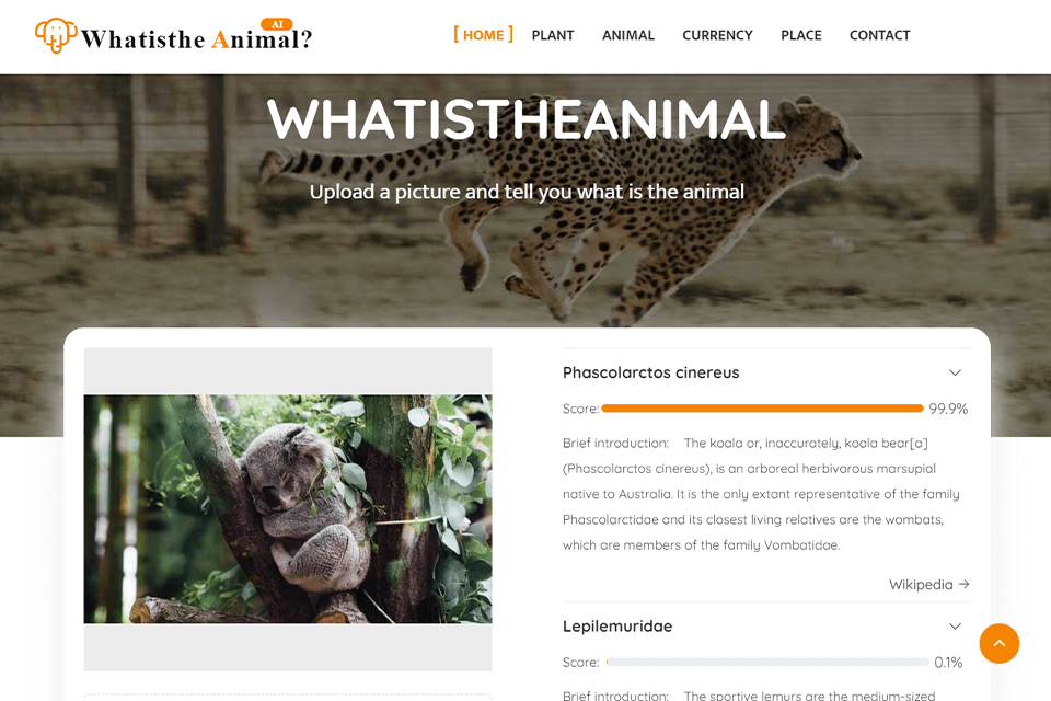 WhatistheAnimal AI Animal Identifier Online Review