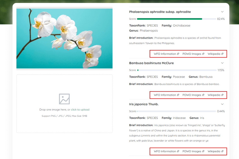 whatistheplant how to use