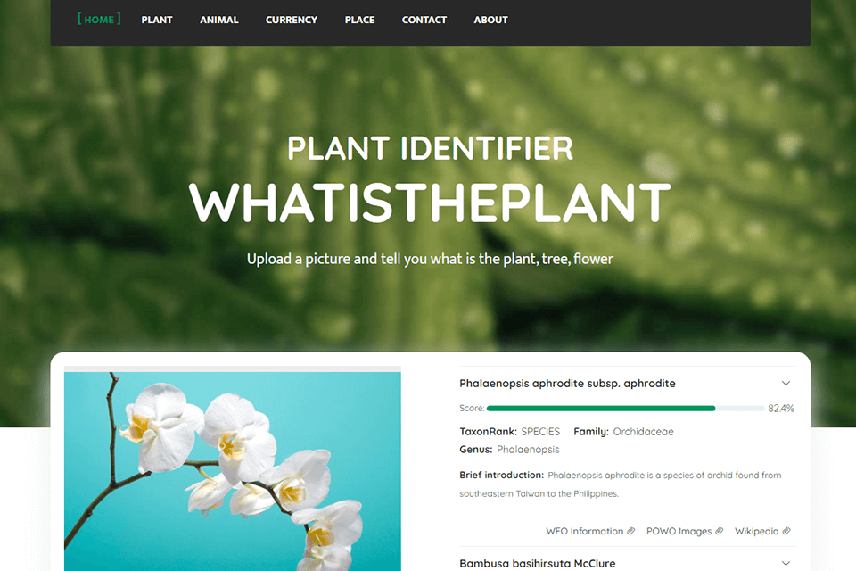 whatistheplant interface