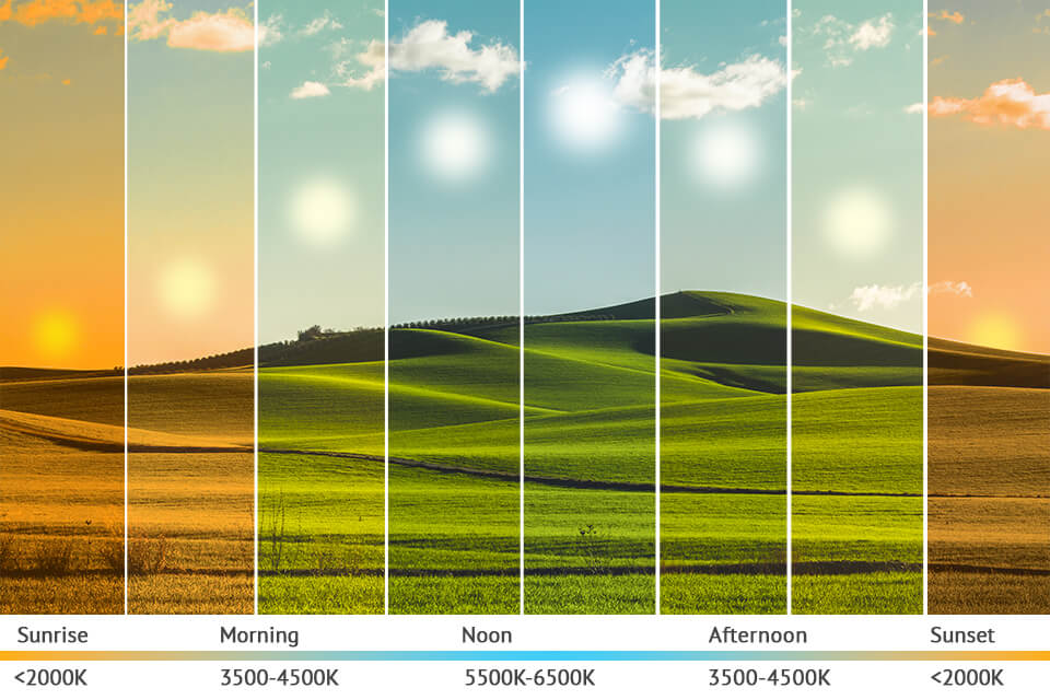 white balance comparison