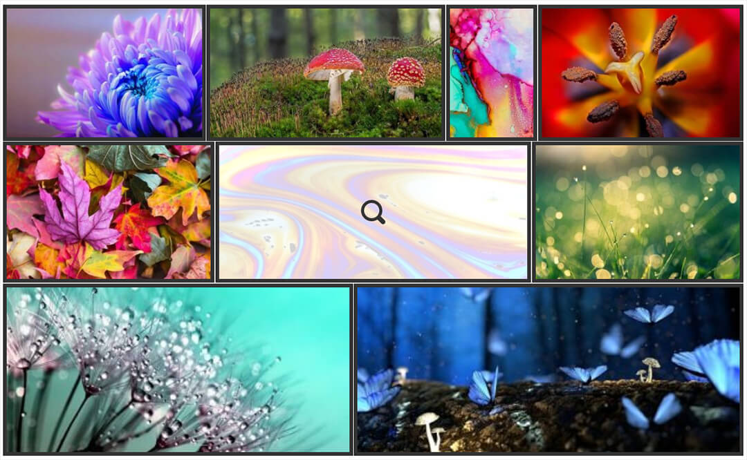why use a wordpress photo gallery