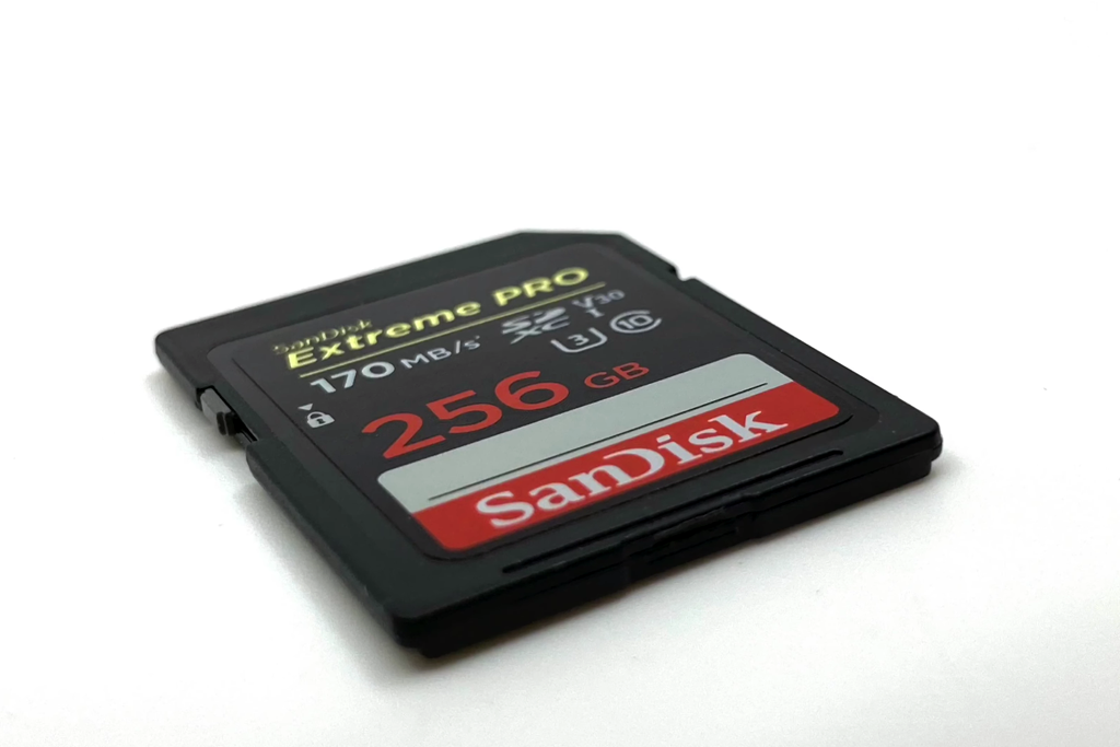 wildlife photography memory card example