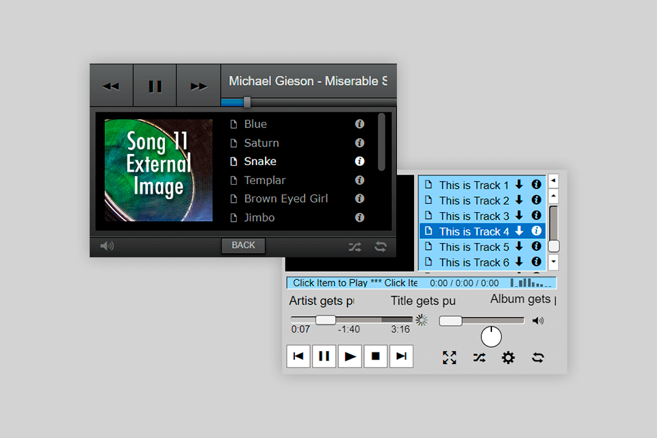 wimpy flv player interface