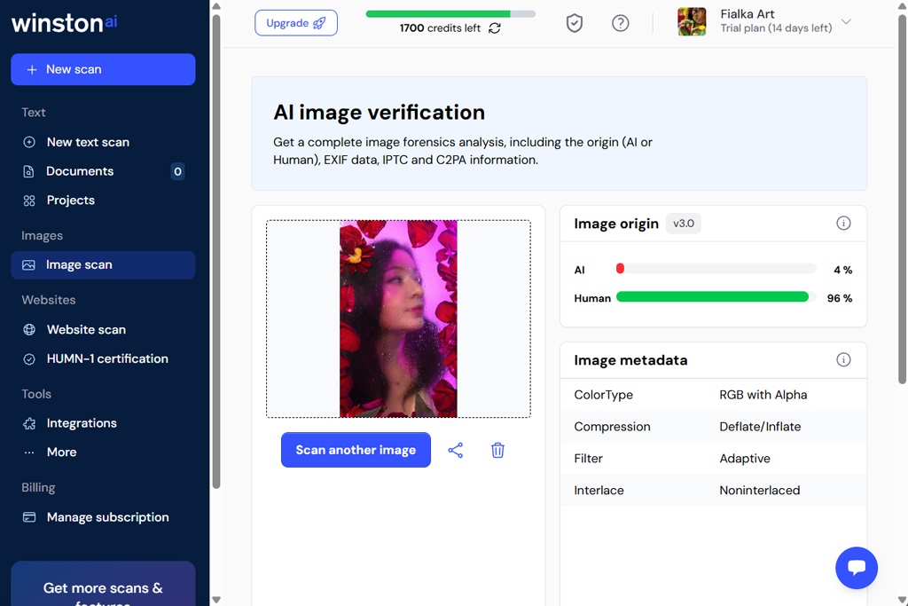winstonai ai image detector