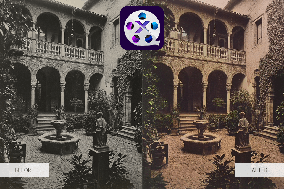 winxvideo ai photo colorizer