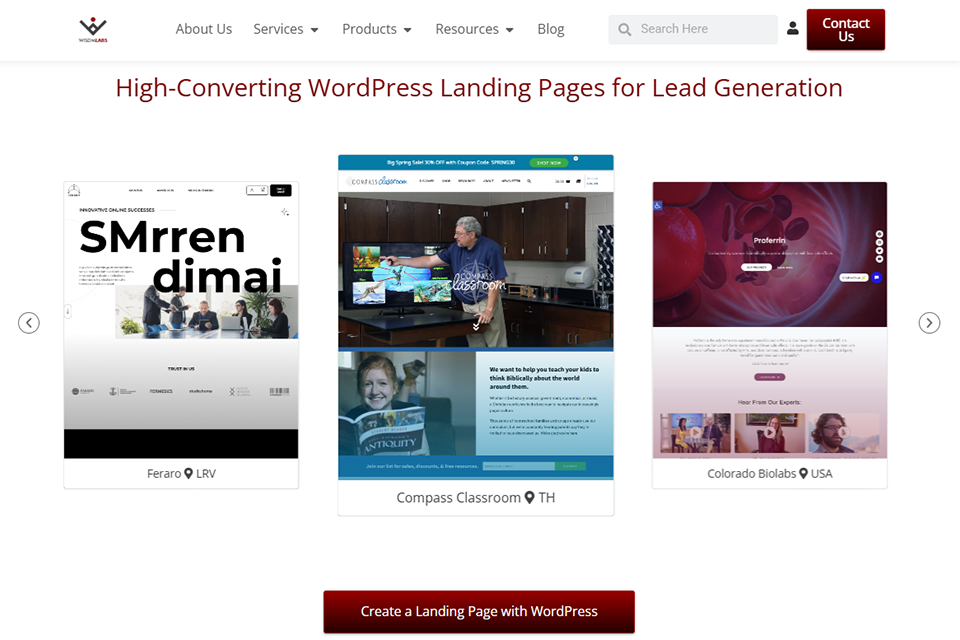 wisdmlabs wordpress developer