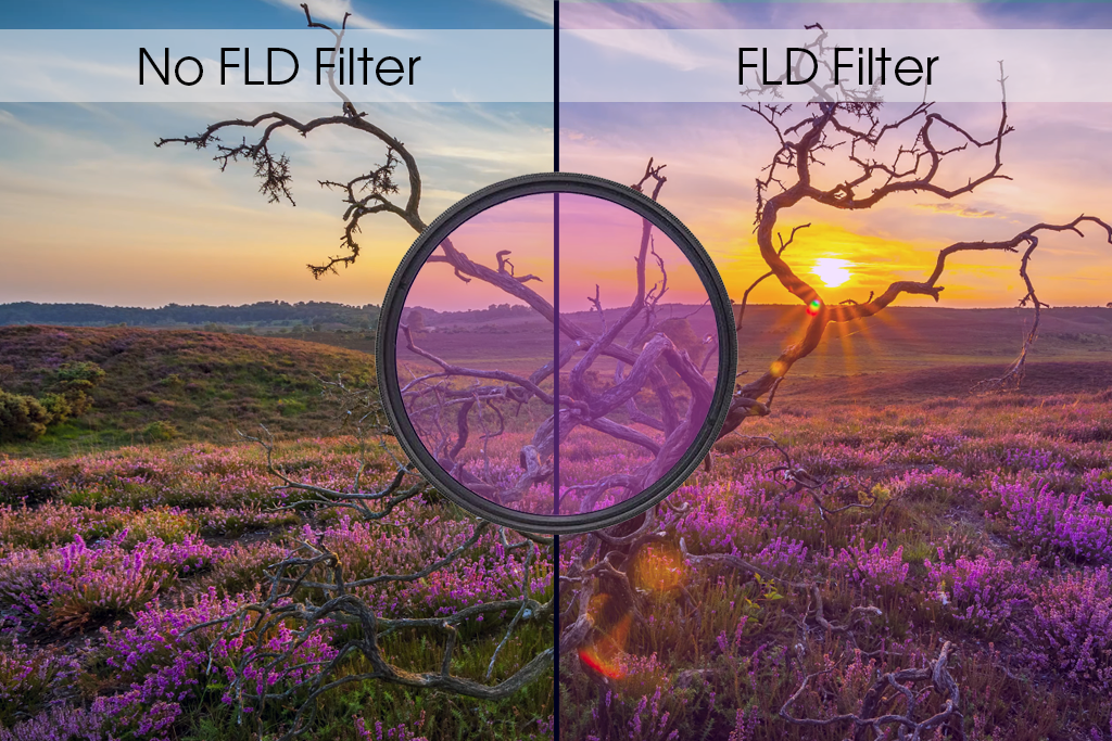 with and without fld filter example