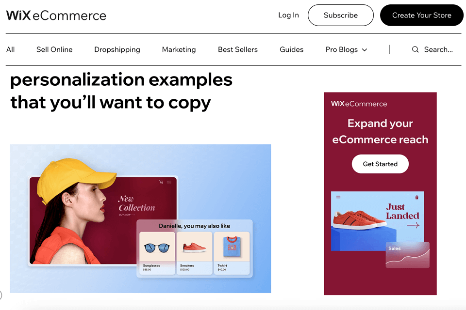 wix ecommerce blog interface