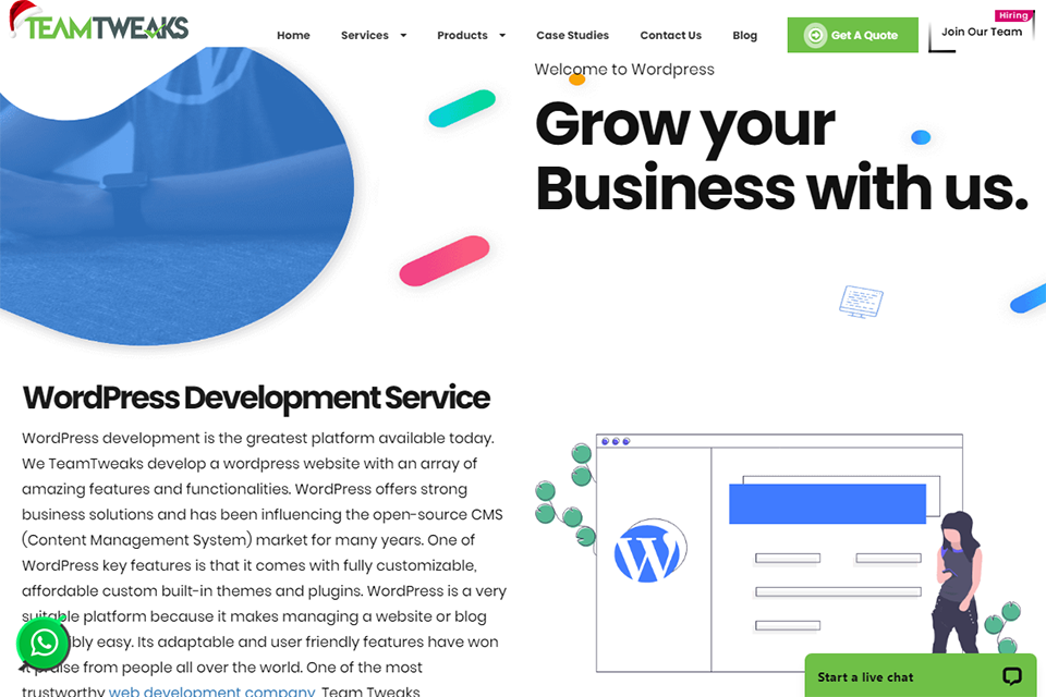 wordpress development company team tweaks image