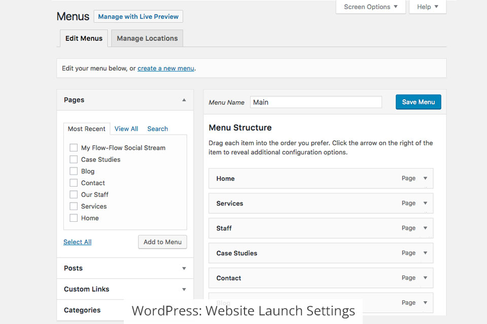 wordpress site launch