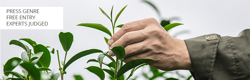 world press photo competition for beginners