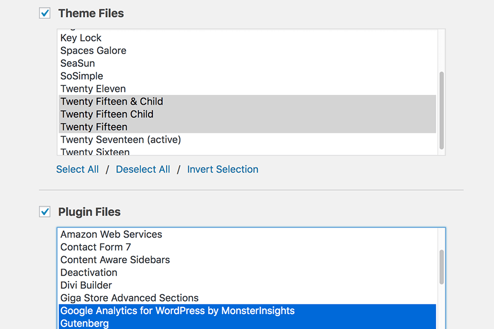 wp migrate db pro theme and plugin addon
