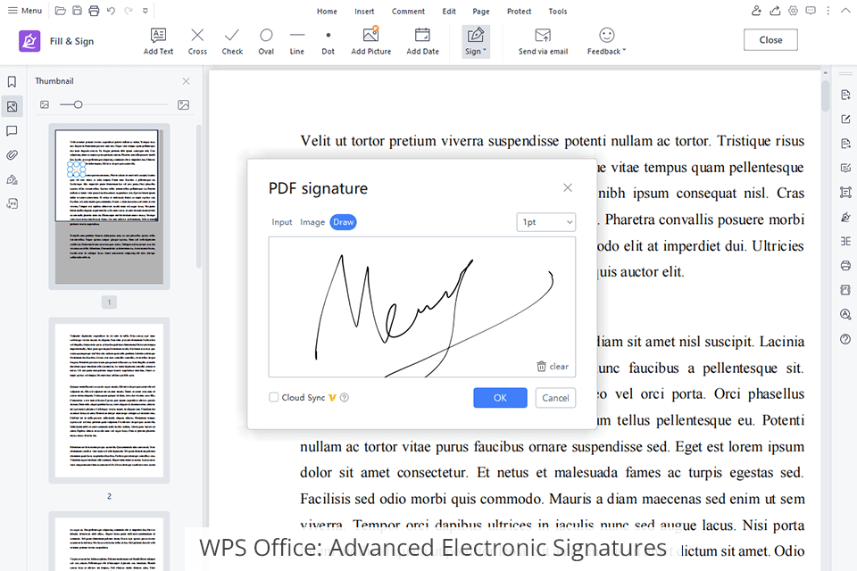 wps office advanced electronic signatures