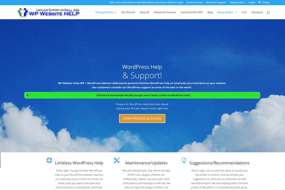 wpwebsitehelp interface