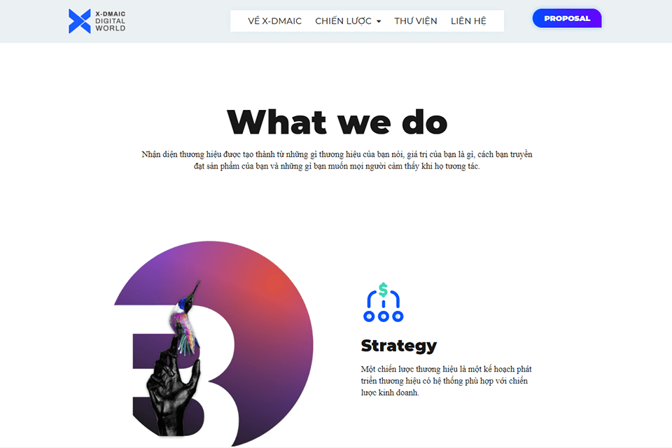 thiết kế sáng tạo x dmaic