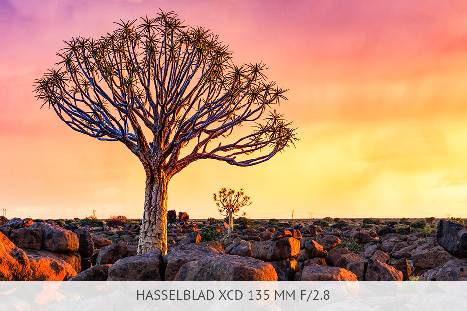 xcd 135 mm f/2.8 lens for hasselblad cameras