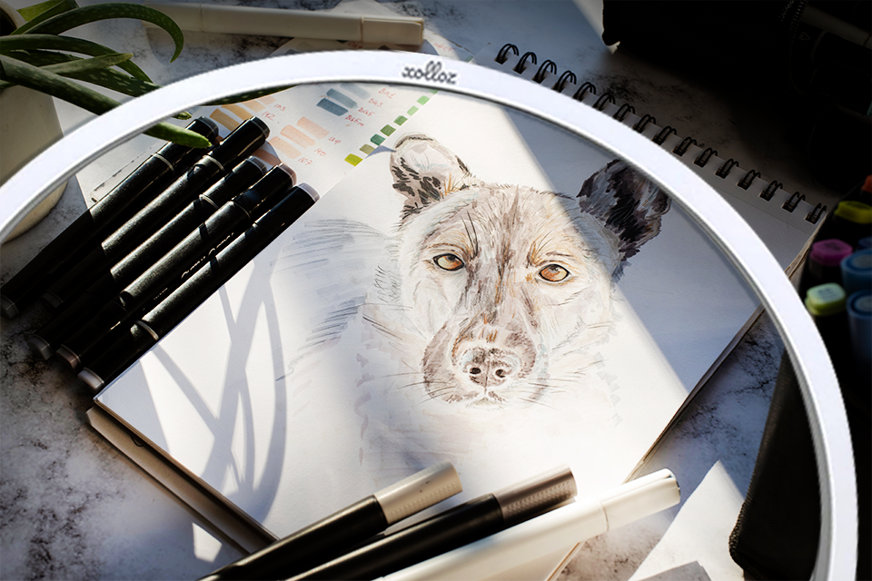 xolloz half-moon daylight lamp for artists