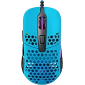 xtrfy mouse model