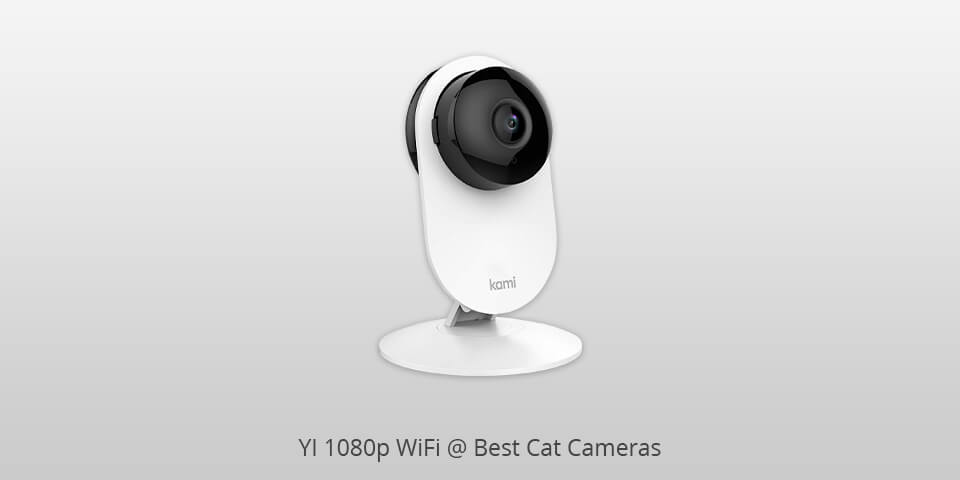 yi 1080p wifi cat camera