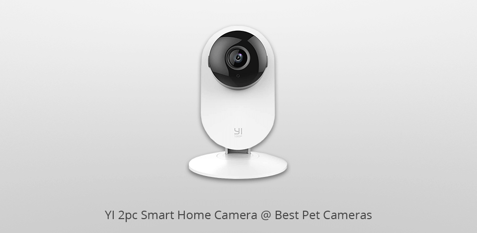yi 2pc smart home  pet camera