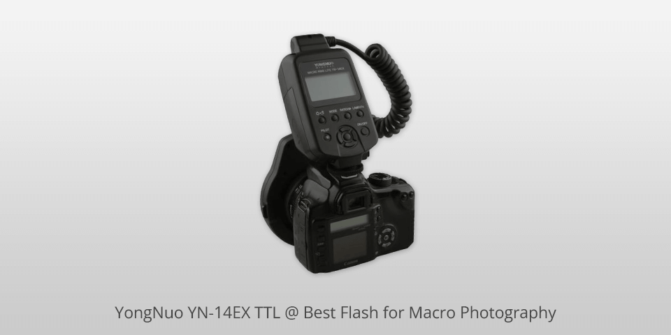 yongnuo yn-14ex ttl flash for macro photography