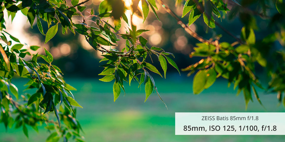 zeiss batis 85mm f/1.8 lens for sony a7