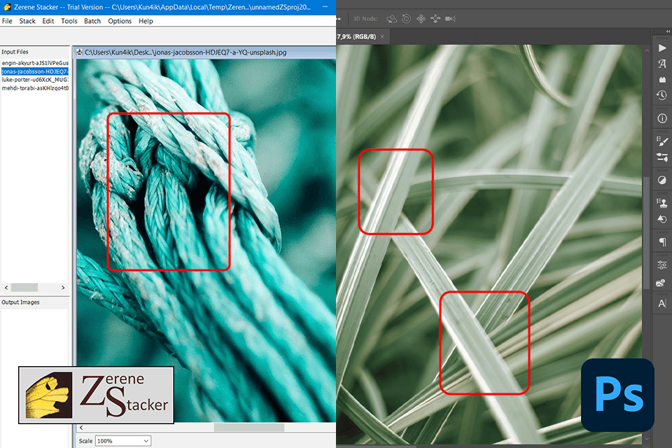 zerene stacker vs photoshop results