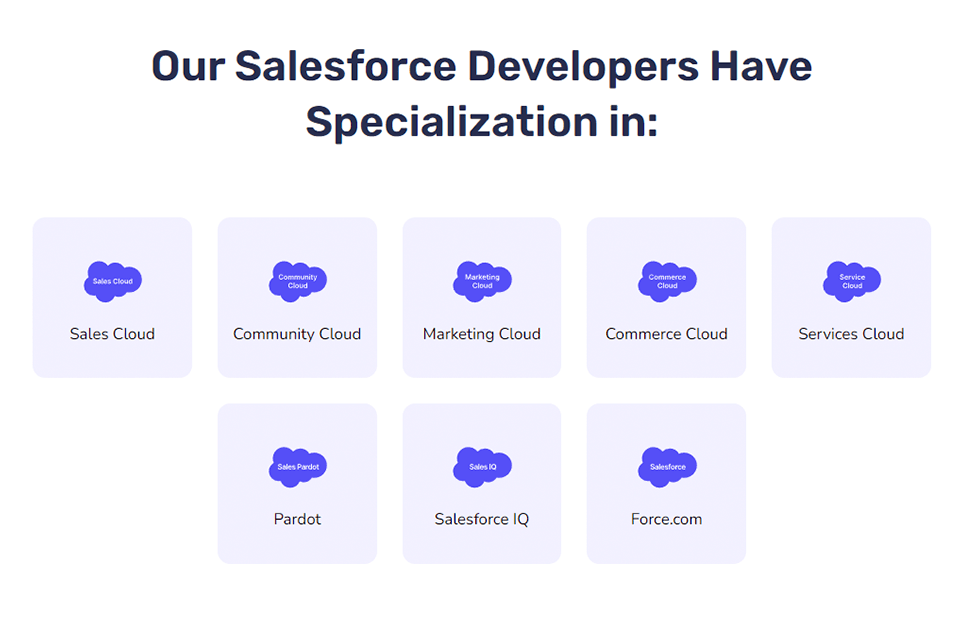 zluck salesforce consulting