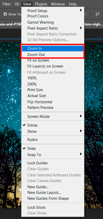 zoom in and zoom out options