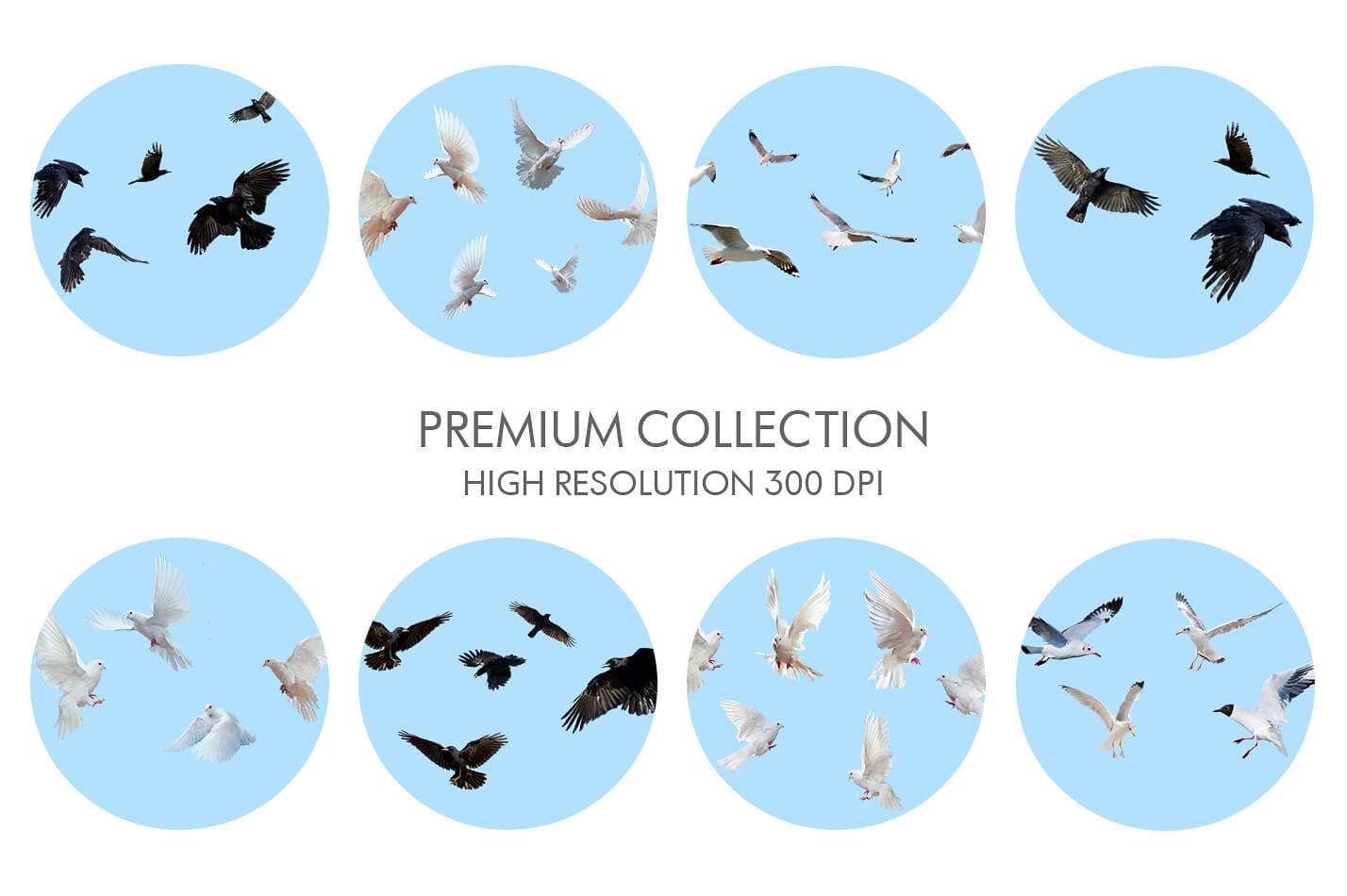 Bird Pattern Overlay Bird Flight Photoshop Overlays – 58 Bird Overlays in PNG Format