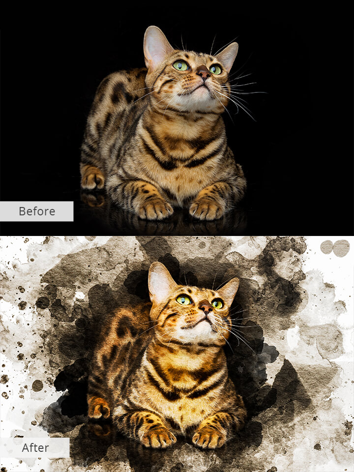 1 Animal Photo Editor Services | Fixthephoto 1 Animal Photo Editor Services | Fixthephoto