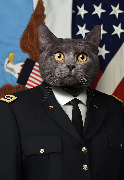 1 Animal Photo Editor Services Fixthephoto